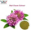 Free sample ! China natural phytoestrogen wholesale Trifolium pratense L extract red clover herb extract