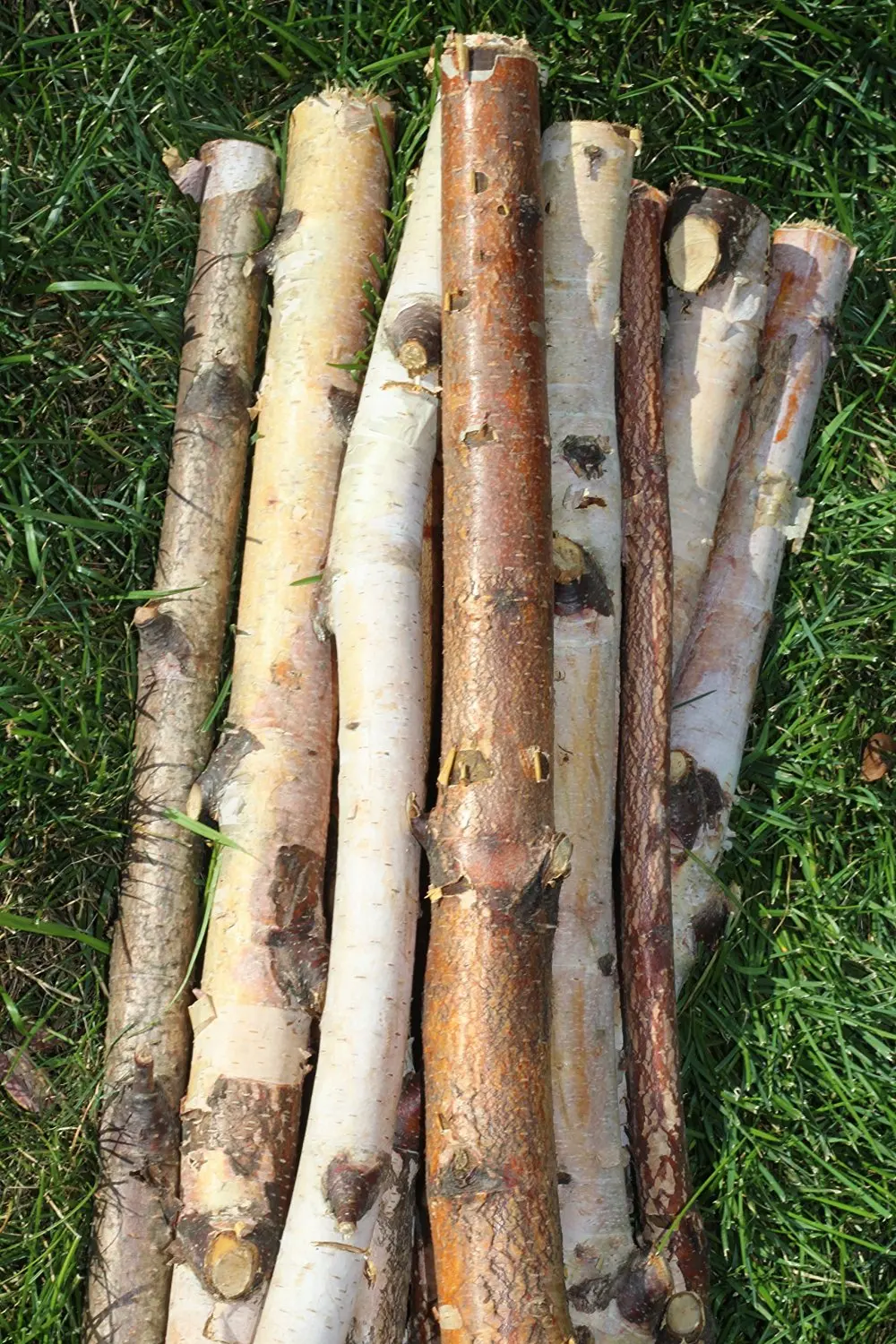Cheap Artificial Birch Logs, find Artificial Birch Logs deals on line