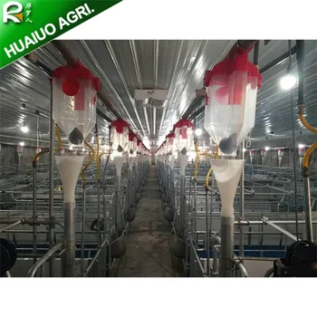 Automatic Dry And Wet Pig Feeder For Pig Feeding Equipment Buy