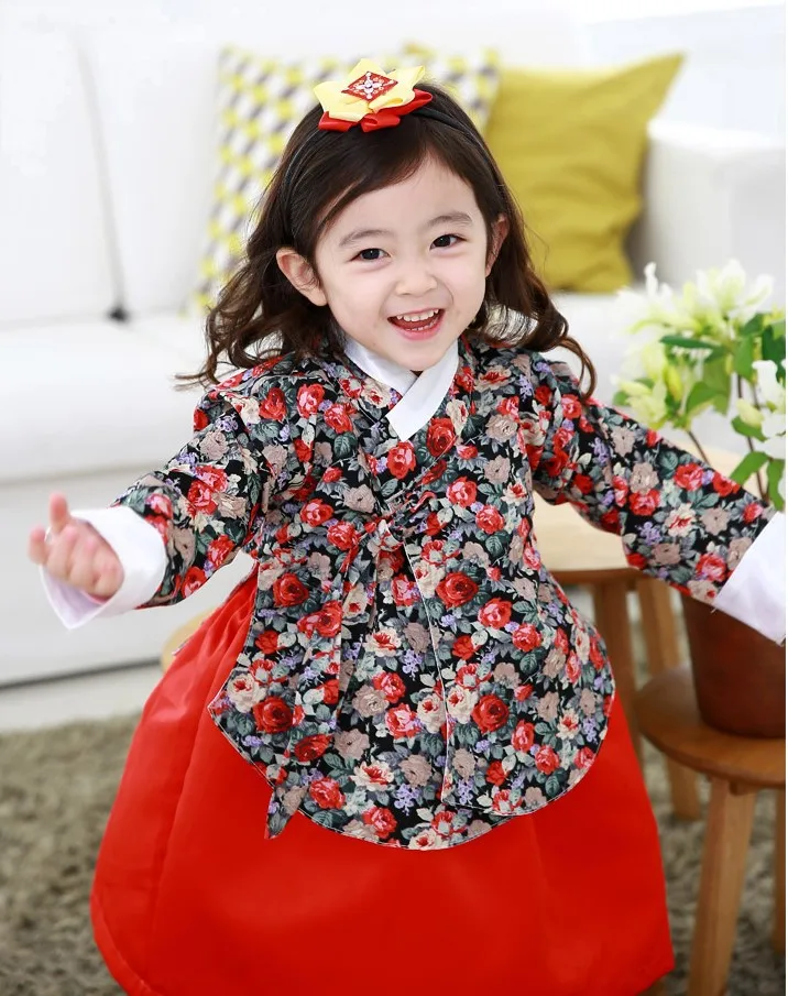 Korean Traditional Dress Fashion dresses