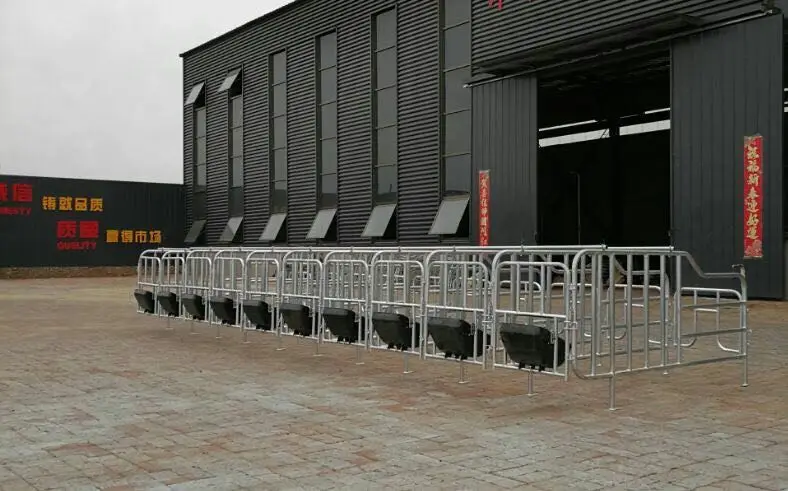 Gestation Crates.jpg
