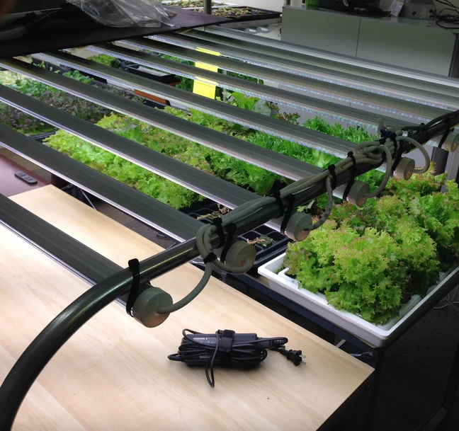 plant growth light tube