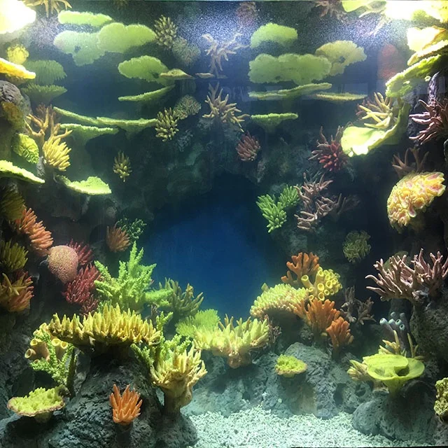 PG Acrylic Fantastic Handmade Aquarium Decoration Aquariums