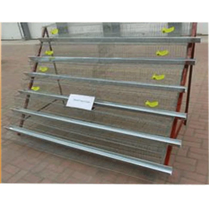 Wire Mesh Quail Farm Cage Prices For Sale Buy Quail Cage,Quail Cage For Sale,Quail Cage Price