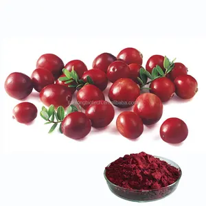 anthocyanin 25% cranberry extract