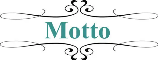 of machine for food grade sweet potato& manioc|cassava starch