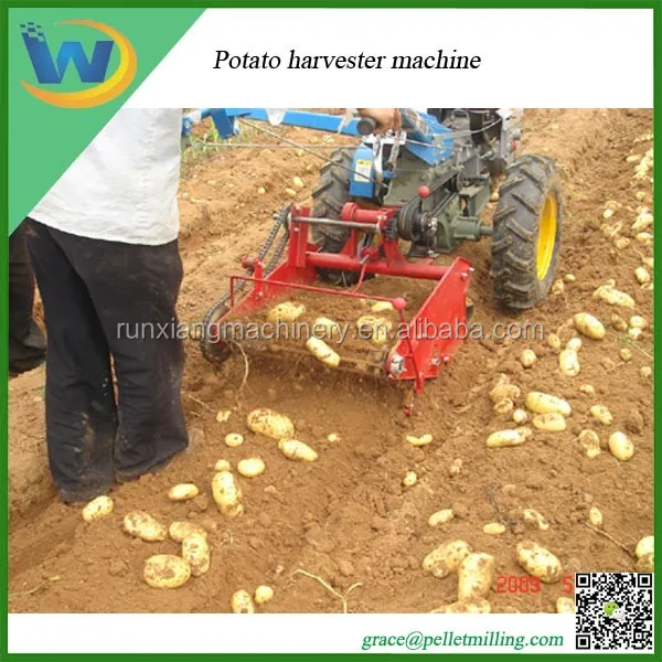 sweet potato harvester 2.jpg