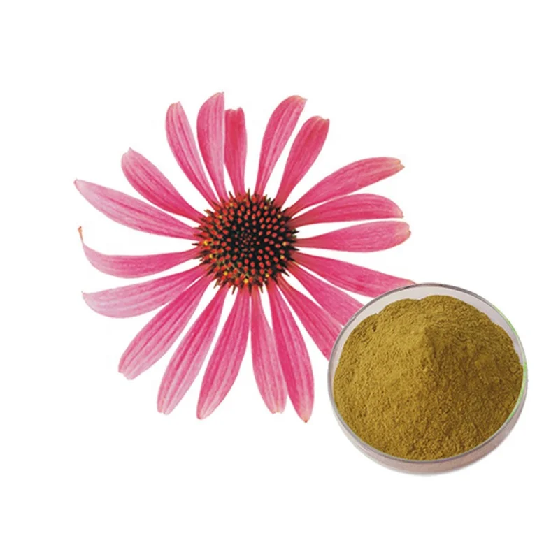 Echinacea purpurea Herb