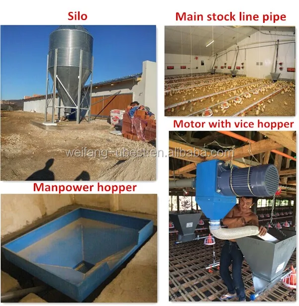 Chicken Farm Tools And Equipment And Their Uses Poultry Feeders
