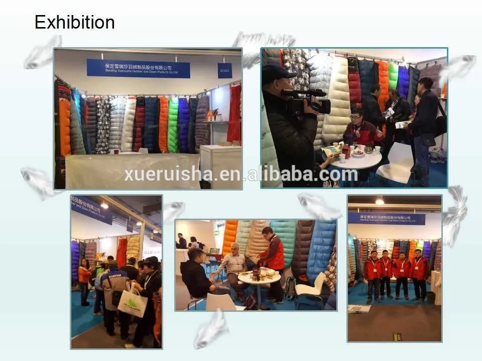 exhibition.jpg