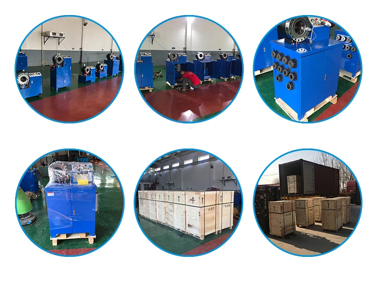 Factory Price High Quality Automatic Hydraulic Hose Crimper / Brake Hydraulic Hose Crimping Machine For Sale
