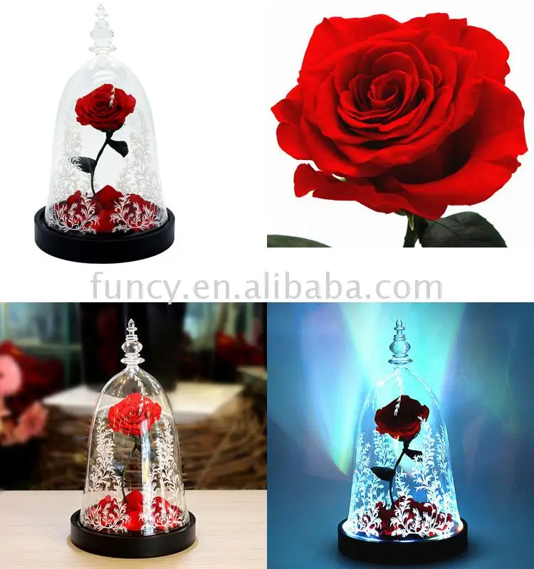 Best Valentines Day Gift Preserved Flower Beauty And The Beast