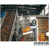 Hot sale fruit making machine orange juice production process