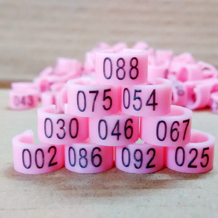 pigeon foot ring (8).jpg