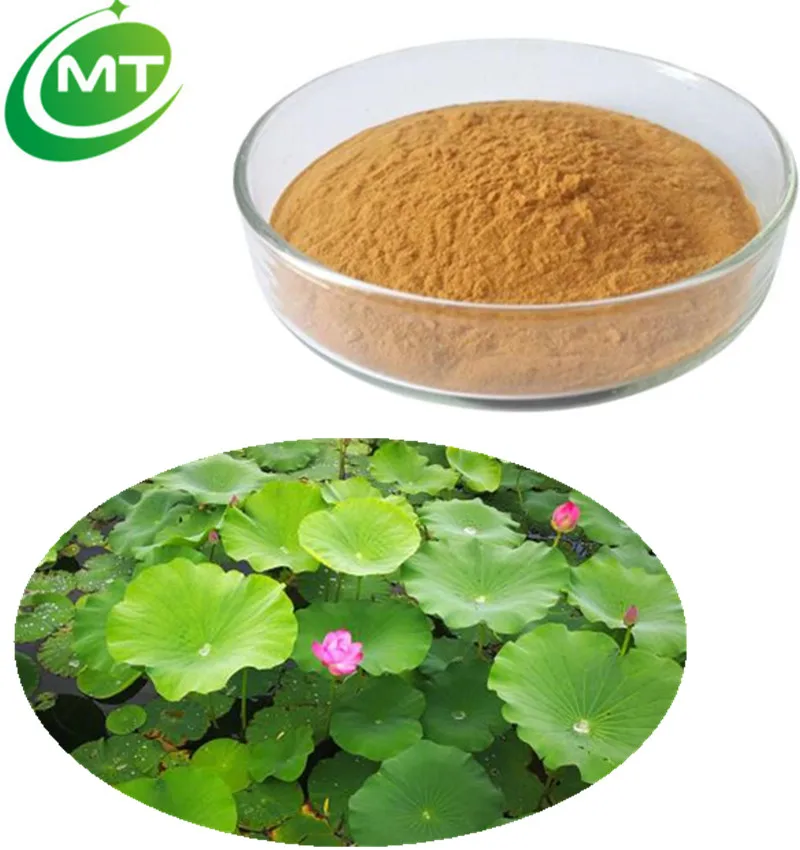 Weight Loss Slimming High Quality Lotus Leaf Extract Powder - Buy Lotus ...