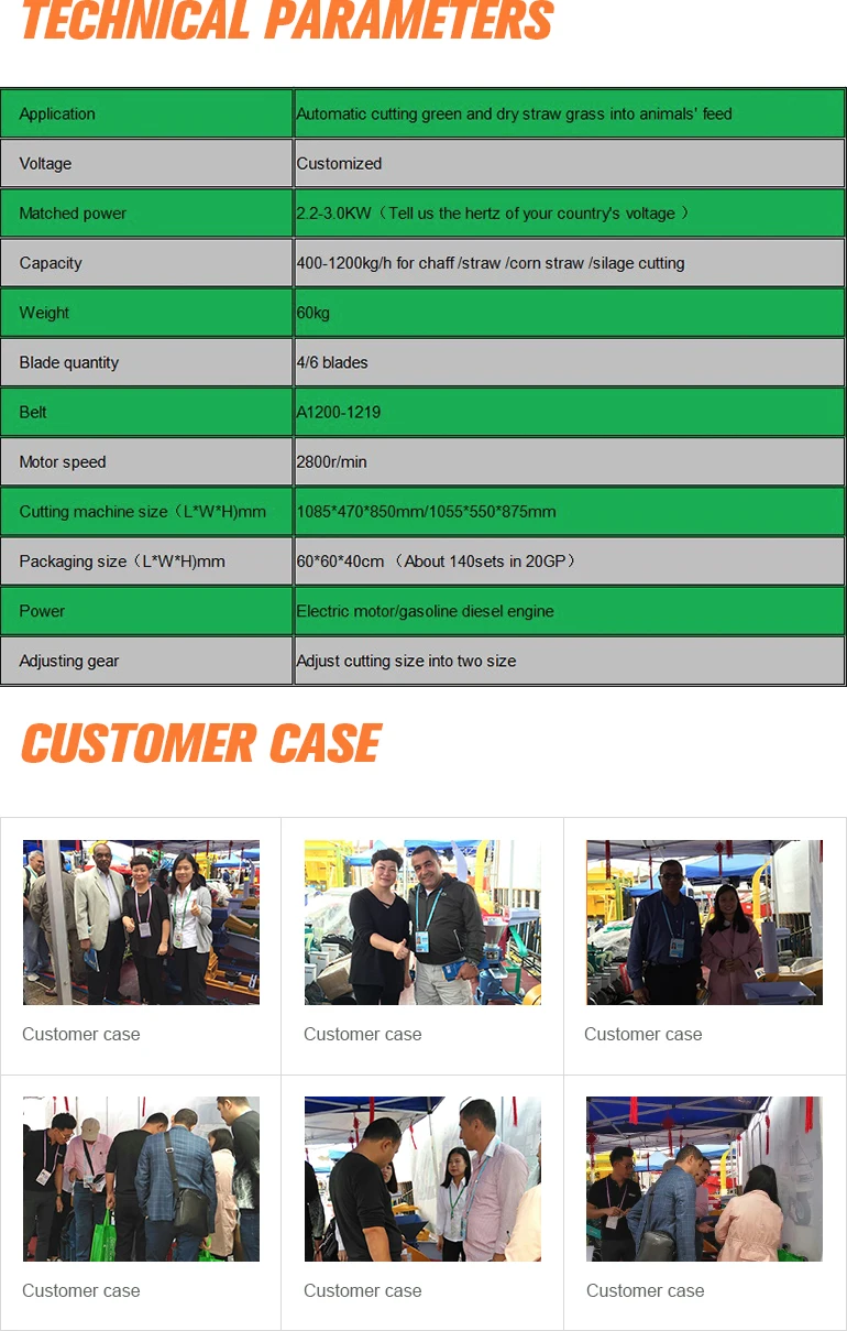 philippine corn silage