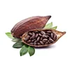Selling Cocoa Beans Dried Chocolate Beans