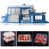 Fully automatic PVC raw material egg try thermoforming machine