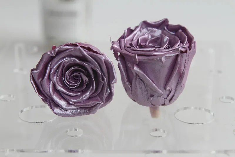 roses that lasts forever