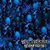 Hot Cow Pattern GWR068 Blue Flame Skull Width 100CM Water Transfer Process / Hydrographic Film Water Transfer Printing Film