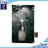 5'' inch lcd display mobile phone mini 5'' display RGB5 tft mobile phone lcd portrait type WVGA 480*800 without TP TFT display