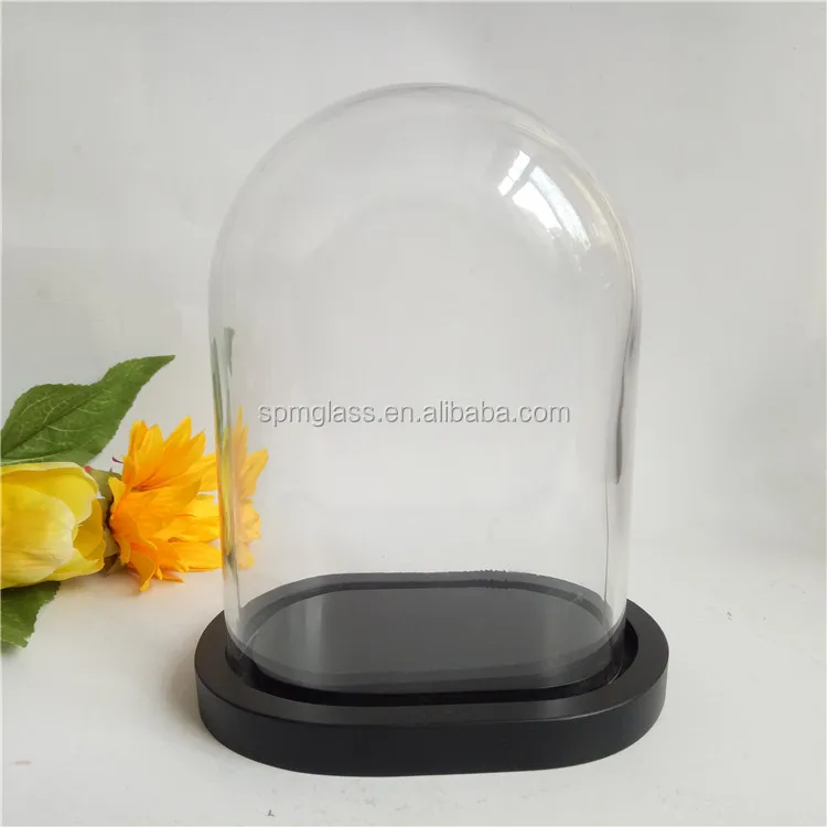 20cm25cm30cm Height Displayed Oval Glass Clocheoval Glass Dome With