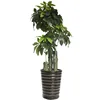 Ready to ship artificial tree money Tree for decoration