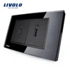 Livolo US Standard 2Gang USB Socket(2.1A,5V) Wall Powerpoints Without Plug VL-C392USB-82