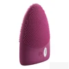 Free sample Handheld body massager facial cleaning brush strong vibration