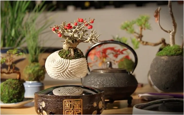 Pas Cher Decoration Design De Superposition En Levitation Plante Bonsai Buy Bonsai En Levitation Bonsai A Superposition D Air Bonsai De Plante Aerienne Product On Alibaba Com