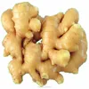 fresh ginger root price and air dried ginger root price for ginger importer