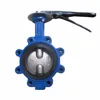 Two piece stem lug type butterfly valve with two stem