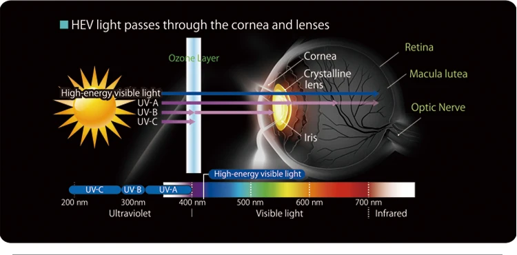 Digital Office Progressive Lenses Uv++ Blue Block Optical Lens - Buy