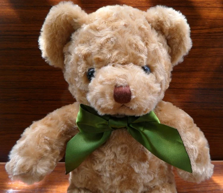 recordable teddy