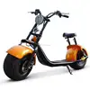 Personal Transporter citycoco Electric 2wheel Scooter