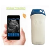 Wireless Mini Portable Color Doppler Ultrasound Scanner With Micro Convex Probe