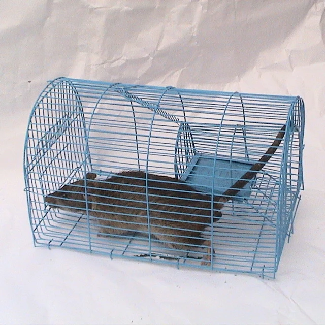 Pvc Coated Rat Trap Cage For Mouse Trap 