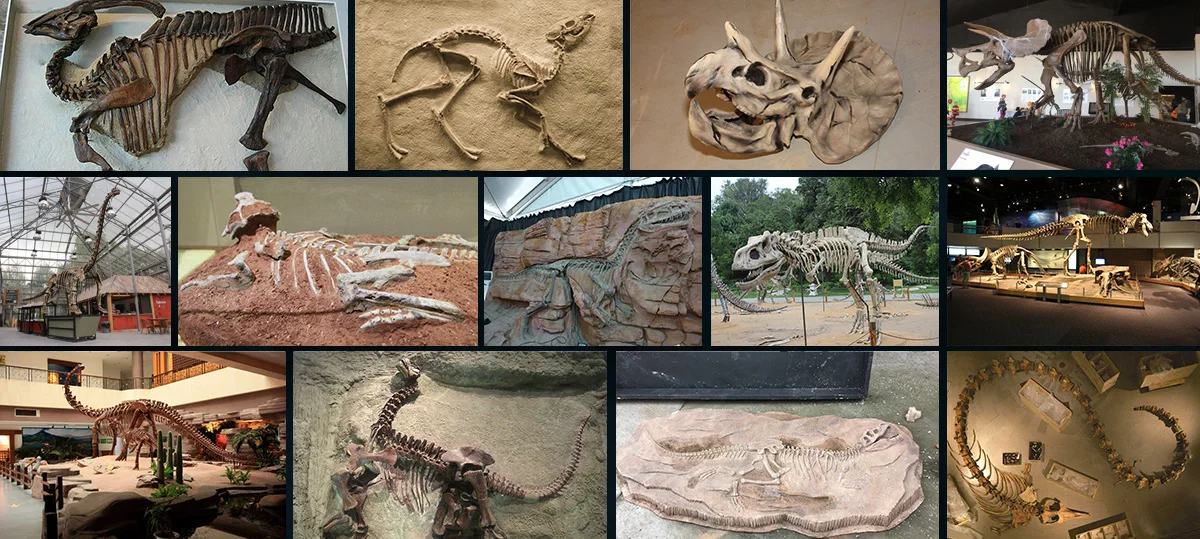 large outdoor dinosaur skeleton