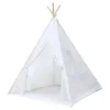 native design authentic aboriginal indian tipi