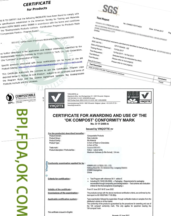 certificate.JPG