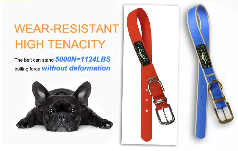 fabric dog collar, friendship dog collar, wear-resistant dog collar, high tenacity dog collar