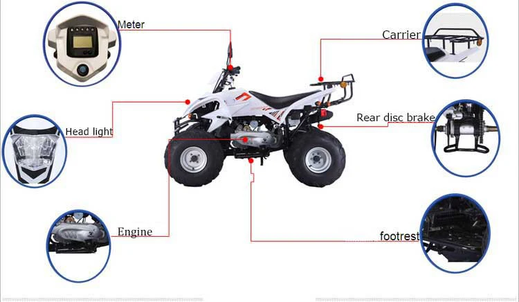 Adult Chinese Quad Bike 150CC 200CC