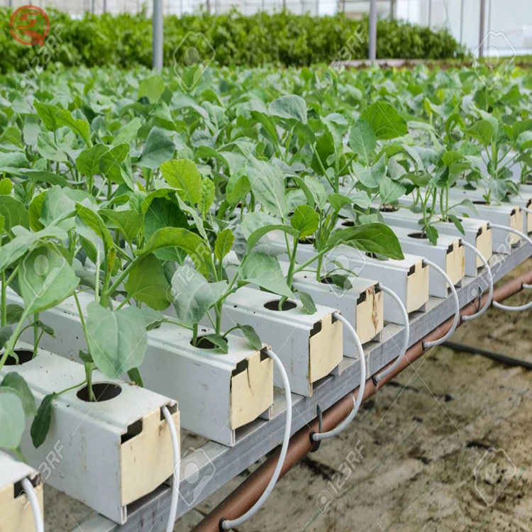 农业大棚种植水培系统待售