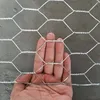 Chicken wire mesh / Galvanized Hexagonal wire netting / galvanized fish lobster trap hexagonal wire mesh