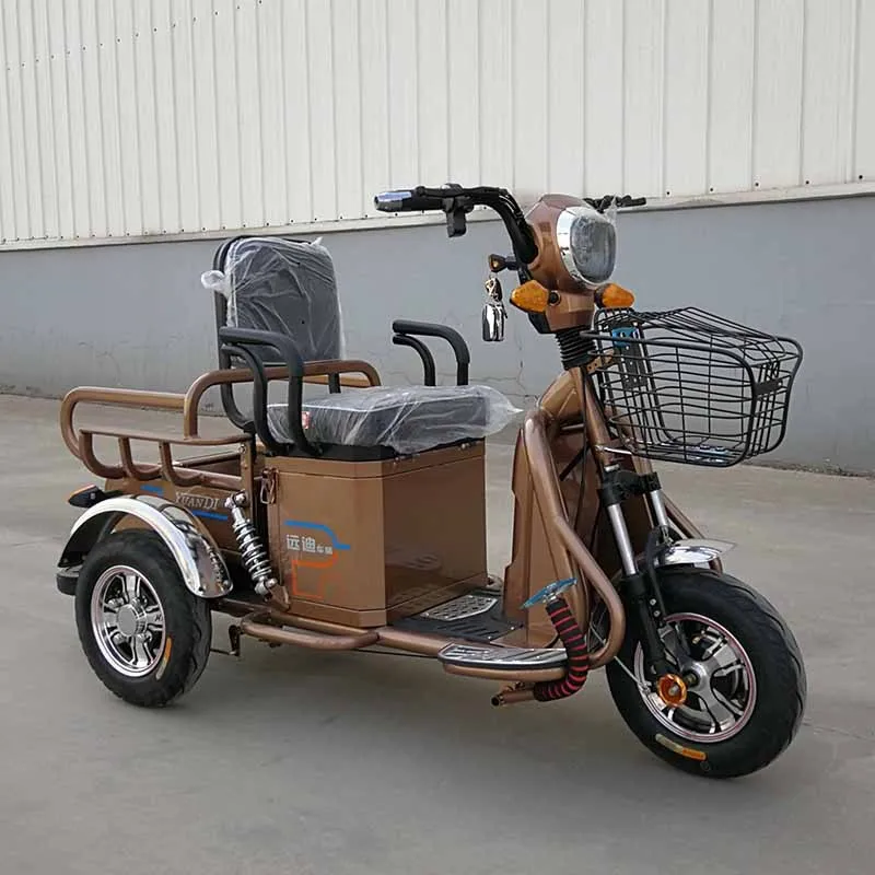 tricycle for handicapped adults