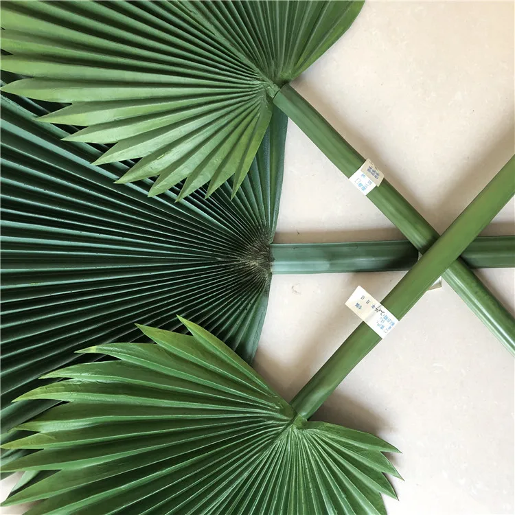 palm tree leaves (20).jpg