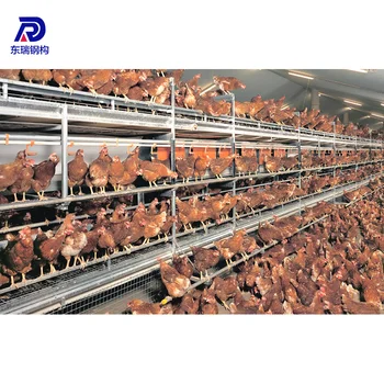 Low Cost Prefab Steel Structure Broiler Poultry Farm ...