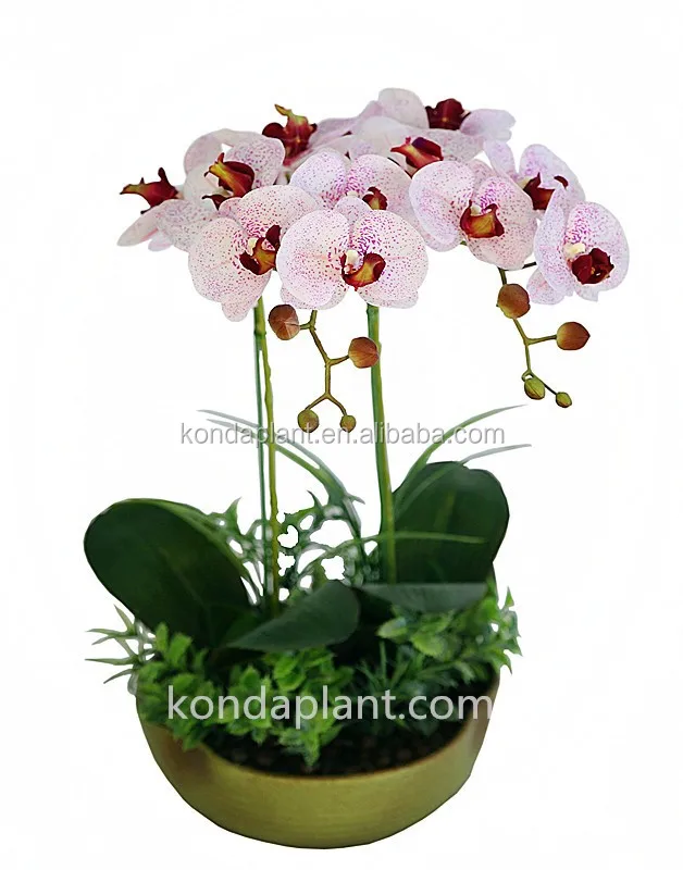 Eco Friendly Real Touch Artificial Latex Flowers Orchids Real Touch
