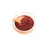 Factory supply wholesale functional red yeast rice powder Monascus purpureus for Improving digestion Monascus Colour