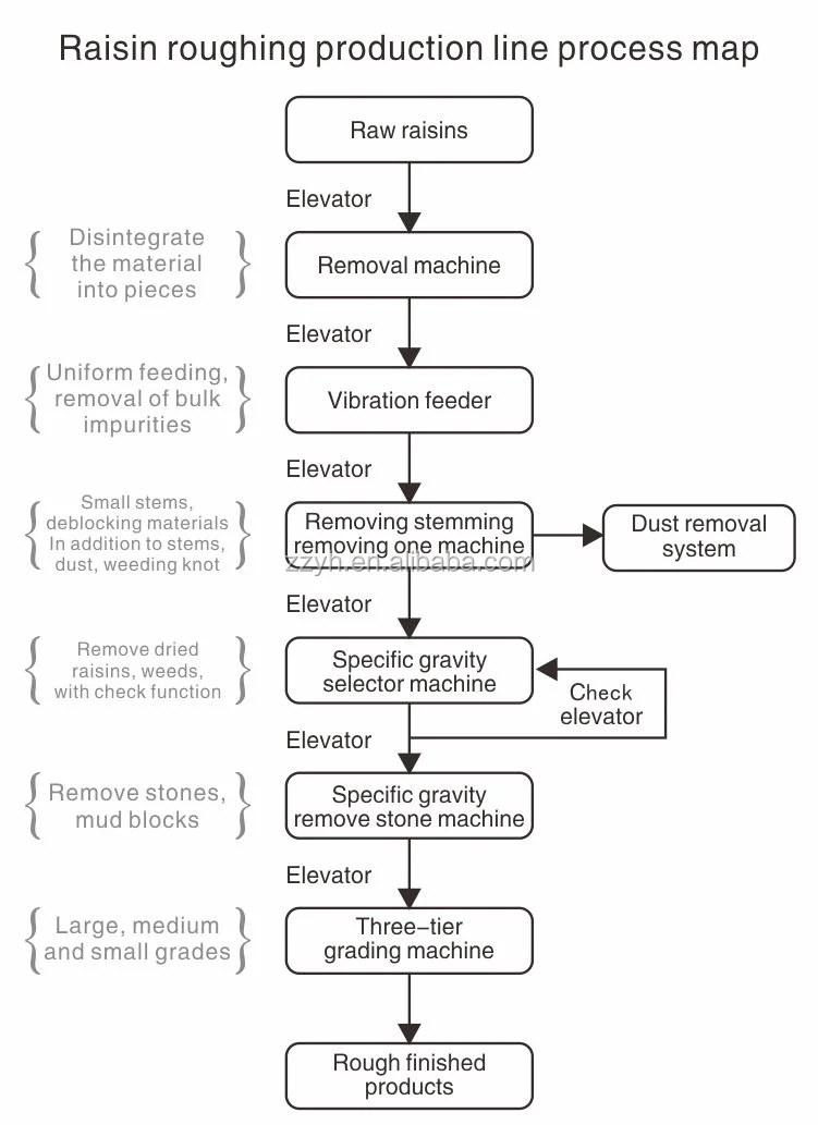 grapes  machine line (19).png